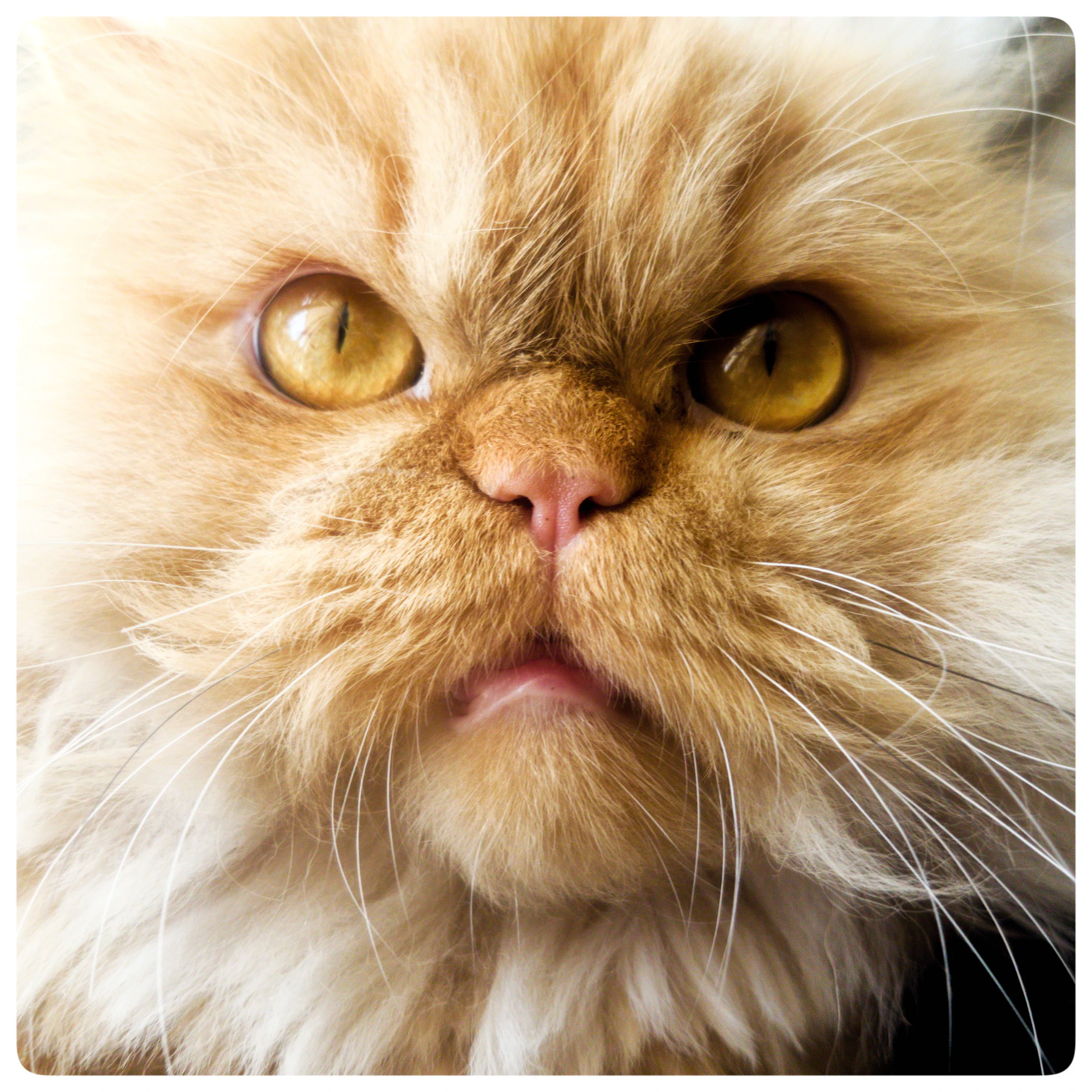 My version of photography